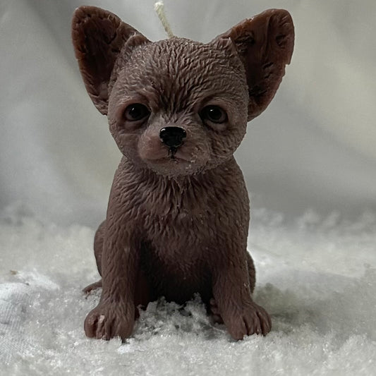 Mrva – Micro Chihuahua Candle